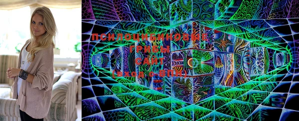 винт Новозыбков
