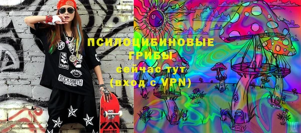 экстази Новодвинск