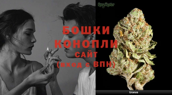 винт Новозыбков