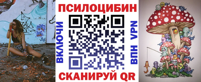 Купить где  Кадников  Псилоцибиновые грибы ЛСД 